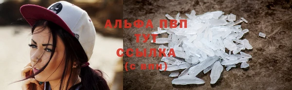 индика Абаза