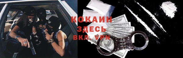 индика Абаза