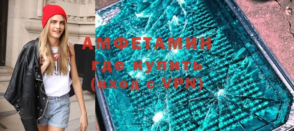 индика Абаза