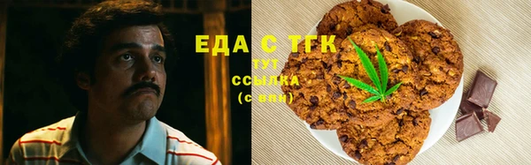 индика Абаза