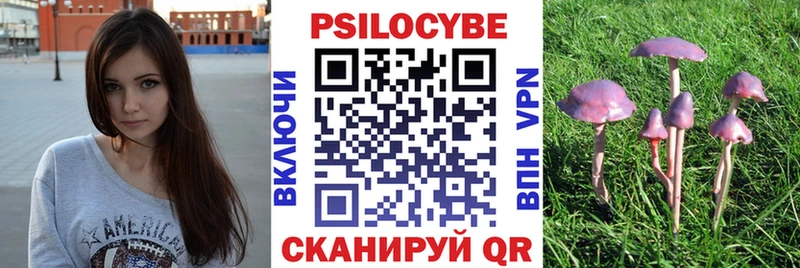 OMG ссылки Юхнов Псилоцибиновые грибы Psilocybine cubensis